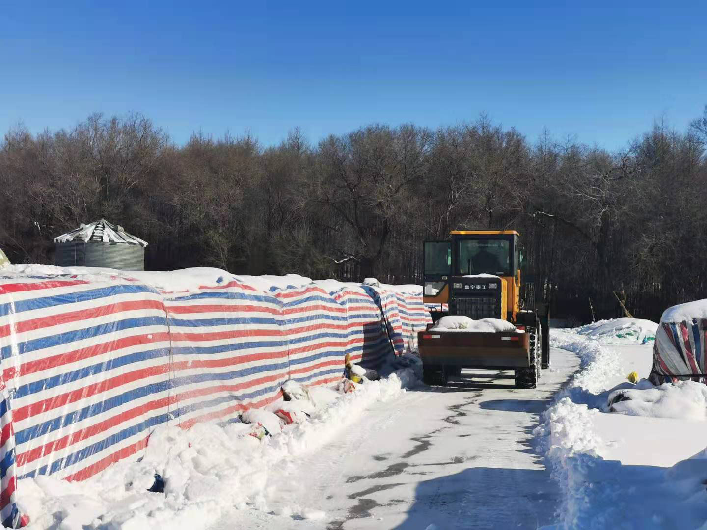 搶前抓早備春耕 清雪扣棚爭主動_fororder_微信圖片_20220207091027