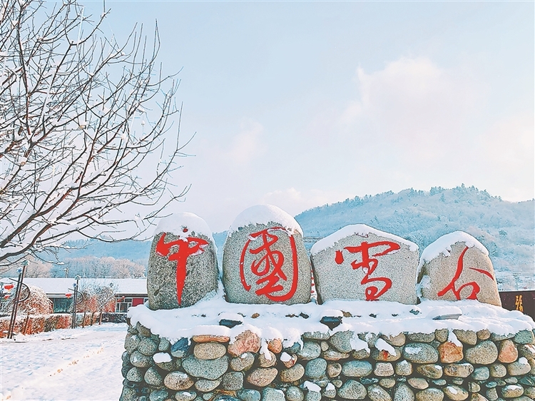 蹦雪極 坐馬車 雪野撒歡兒