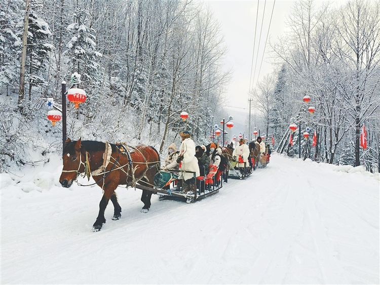 蹦雪極 坐馬車 雪野撒歡兒