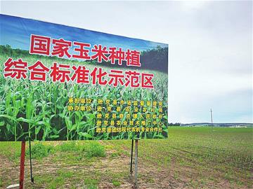 黑河市遜克縣發展生態農業延伸産業鏈提升價值鏈