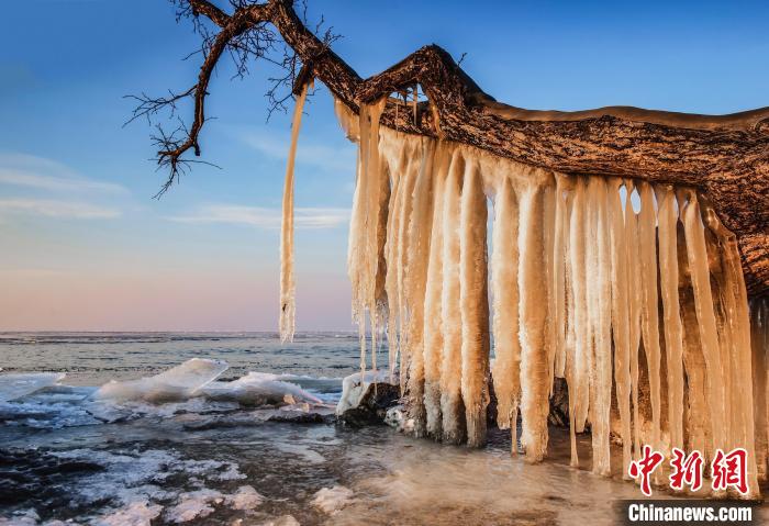 中俄界湖興凱湖冰天雪地現美景