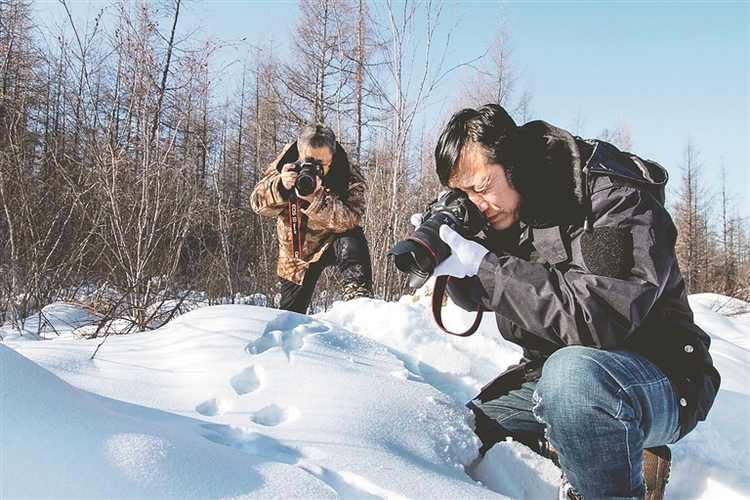 為期5年 野生動物專項調查啟動