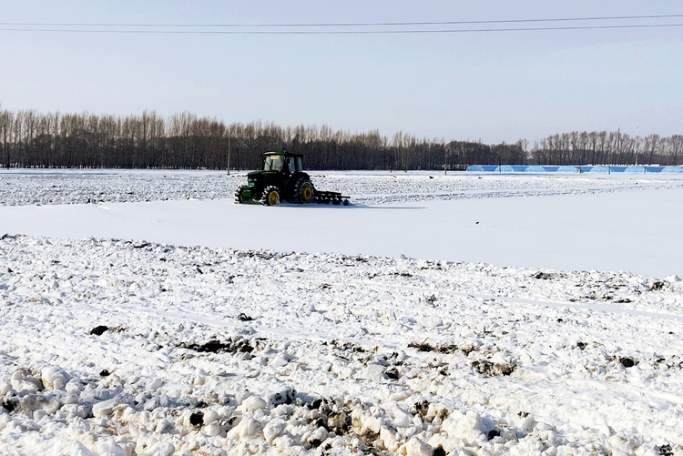 科技備春耕｜耙雪散墑 科學“開方”用好養好黑土地