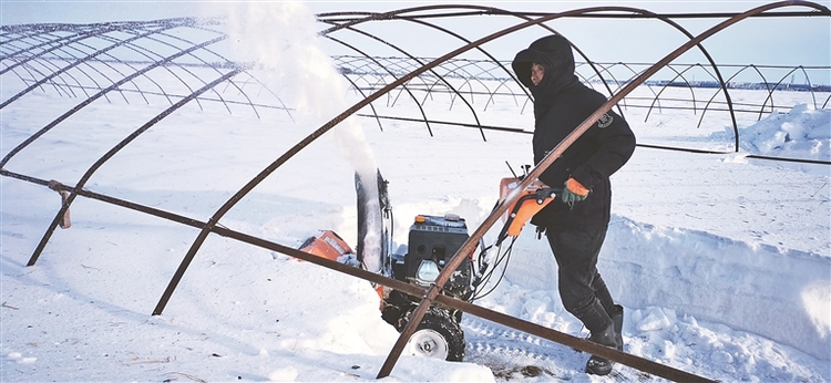 撫遠：快清雪 早扣棚 備春耕