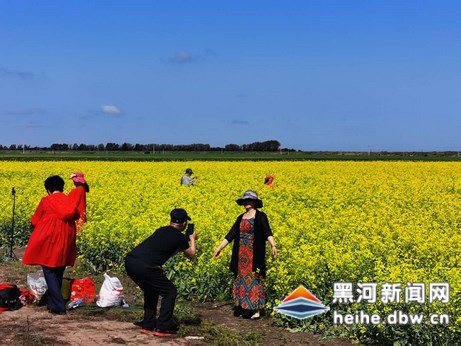 遜克中俄農業園區油菜花海試種成功變身遊人“打卡”地