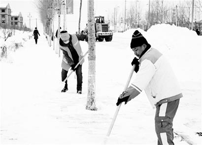 雙鴨山市上下聞雪而動 全力保生産保暢通