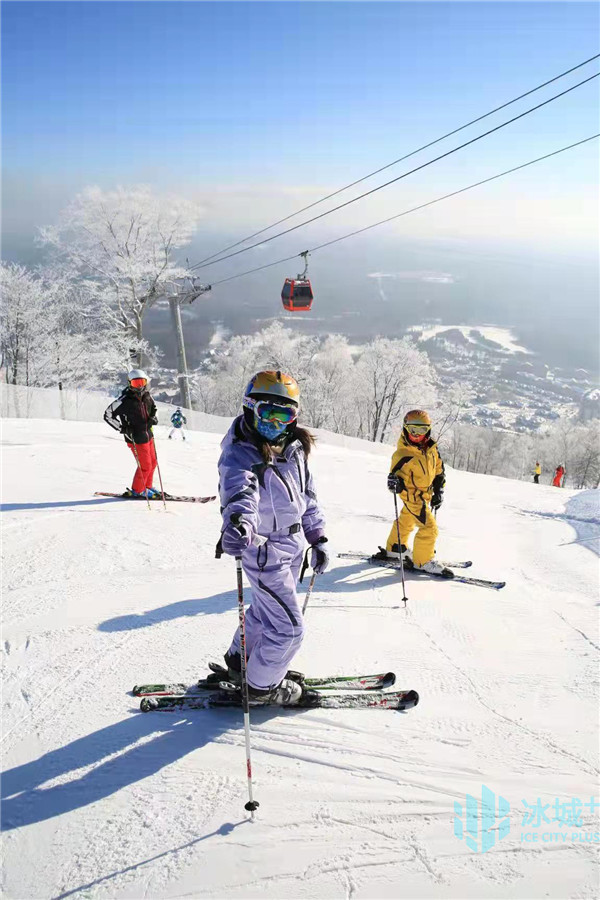 黑龍江文旅廳回應霍啟剛：歡迎再次“帶團”光臨冰天雪地