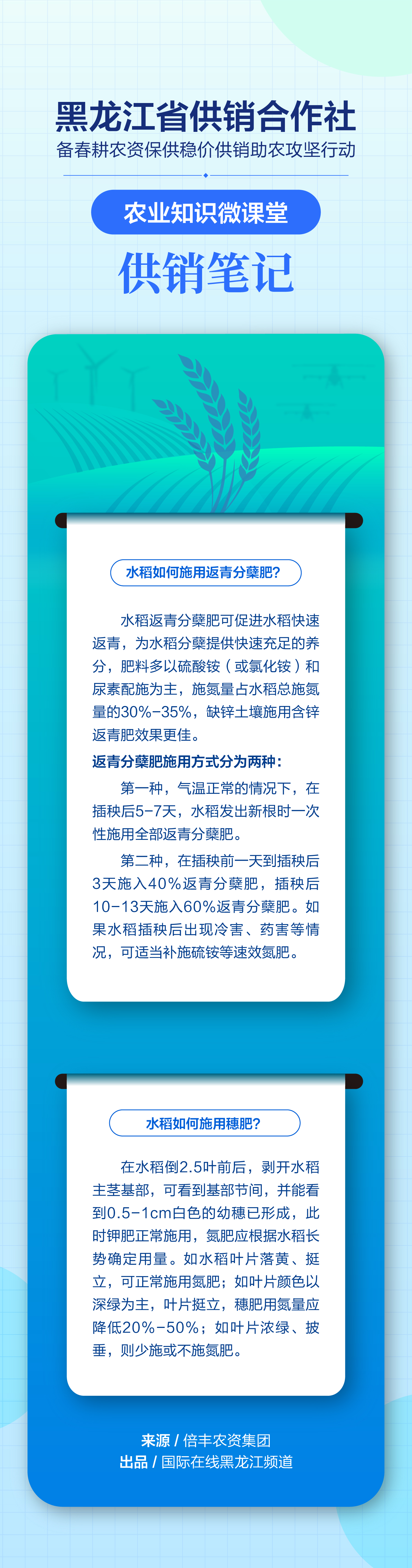 水稻如何科學施肥？“供銷筆記”有答案！_fororder_2