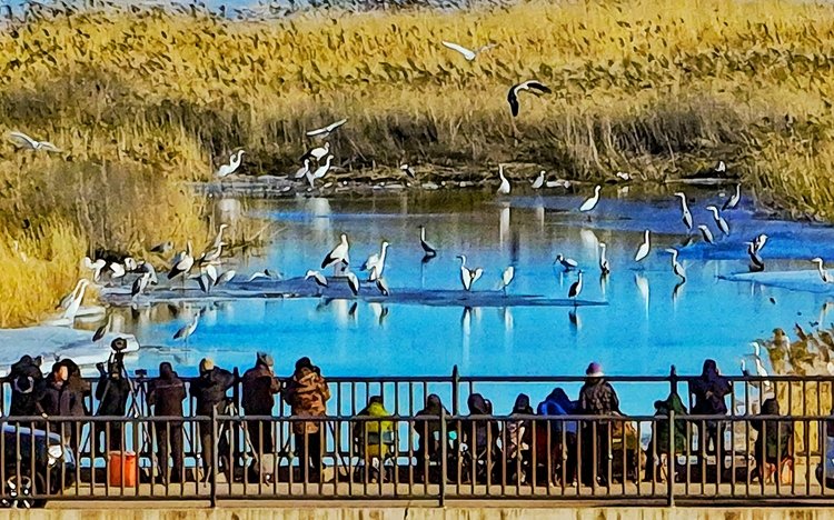 百湖春來早 處處聞啼鳥