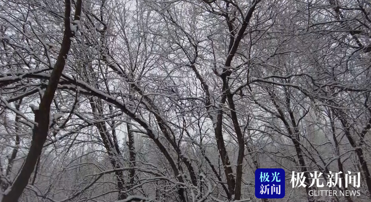 遜克：春日雪花飛舞 勾勒出一幅水墨丹青