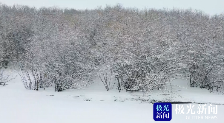 遜克：春日雪花飛舞 勾勒出一幅水墨丹青