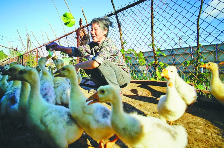 張家老兩口眼中的“幸福”