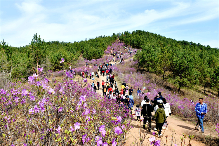 飽覽北國春光！雙鴨山市推出5大系列特色旅遊産品