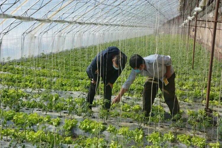 牡丹江十項重點農業技術項目助力春耕生産