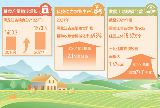 黑龍江省今年糧食作物計劃播種面積2.185億畝以上