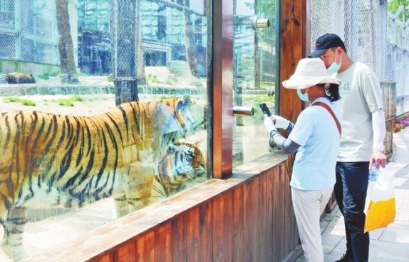 牡丹江東北虎林園開園