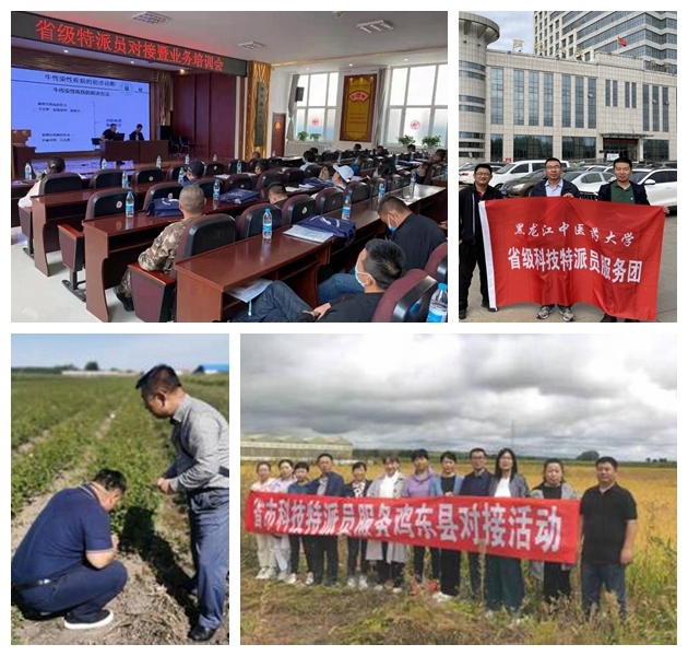 喜迎黨代會 打贏防疫戰 黑龍江中醫藥大學紮根龍江大地爭“一流”