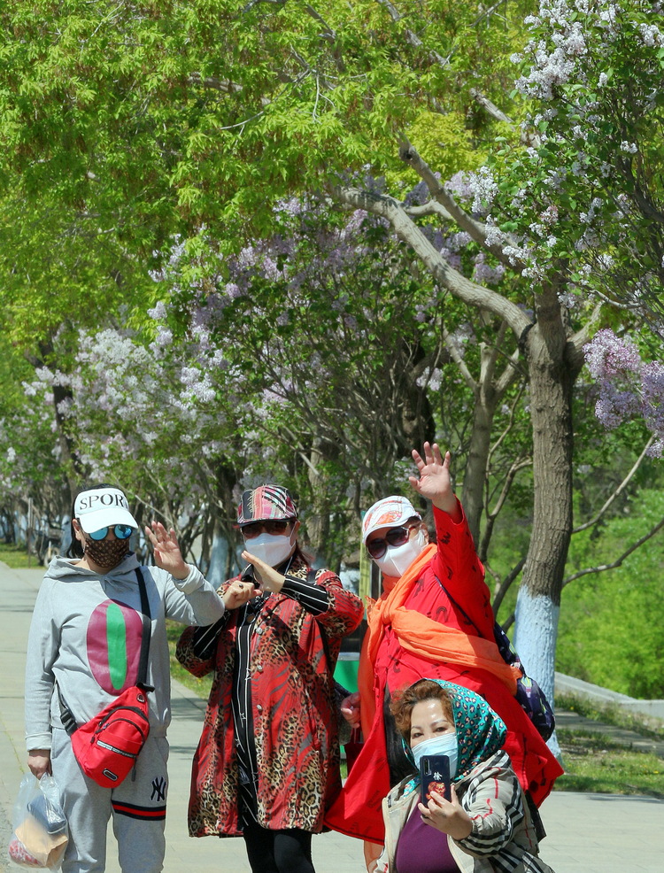 太陽島公園開放 遊人賞花踏青