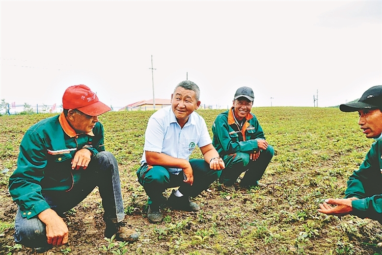 做強“寒地龍藥” 看他們如何打通産業鏈？