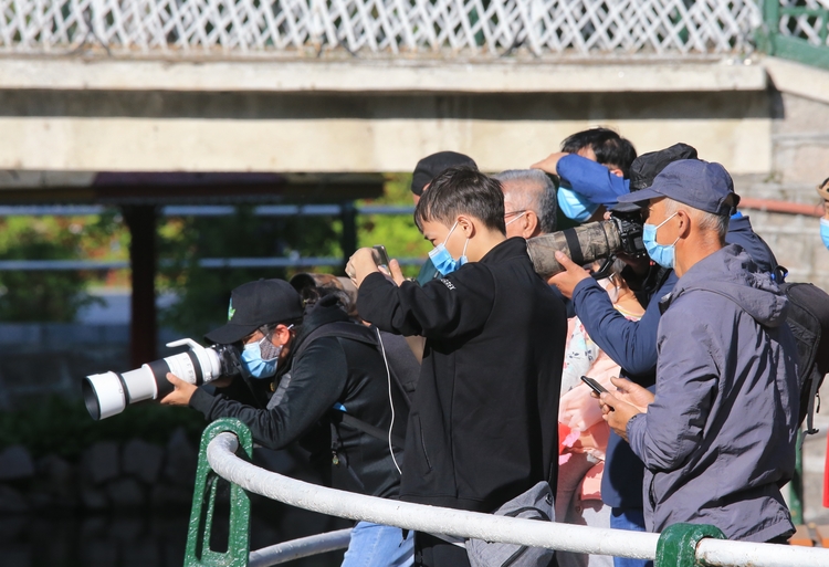 兆麟公園今夏第一窩小鴛鴦來報到啦！