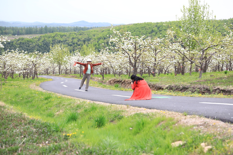 初夏探遊梨花谷