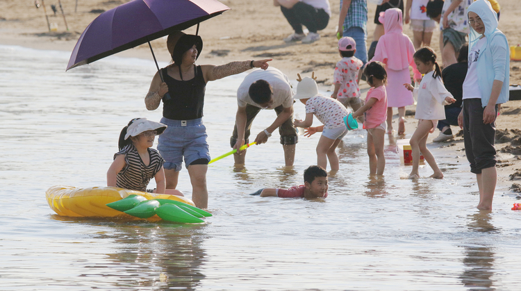 夏日裏，冰城人鍾情濕地遊