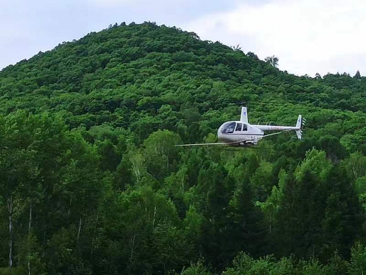 龍江森工：“飛防”護林健康