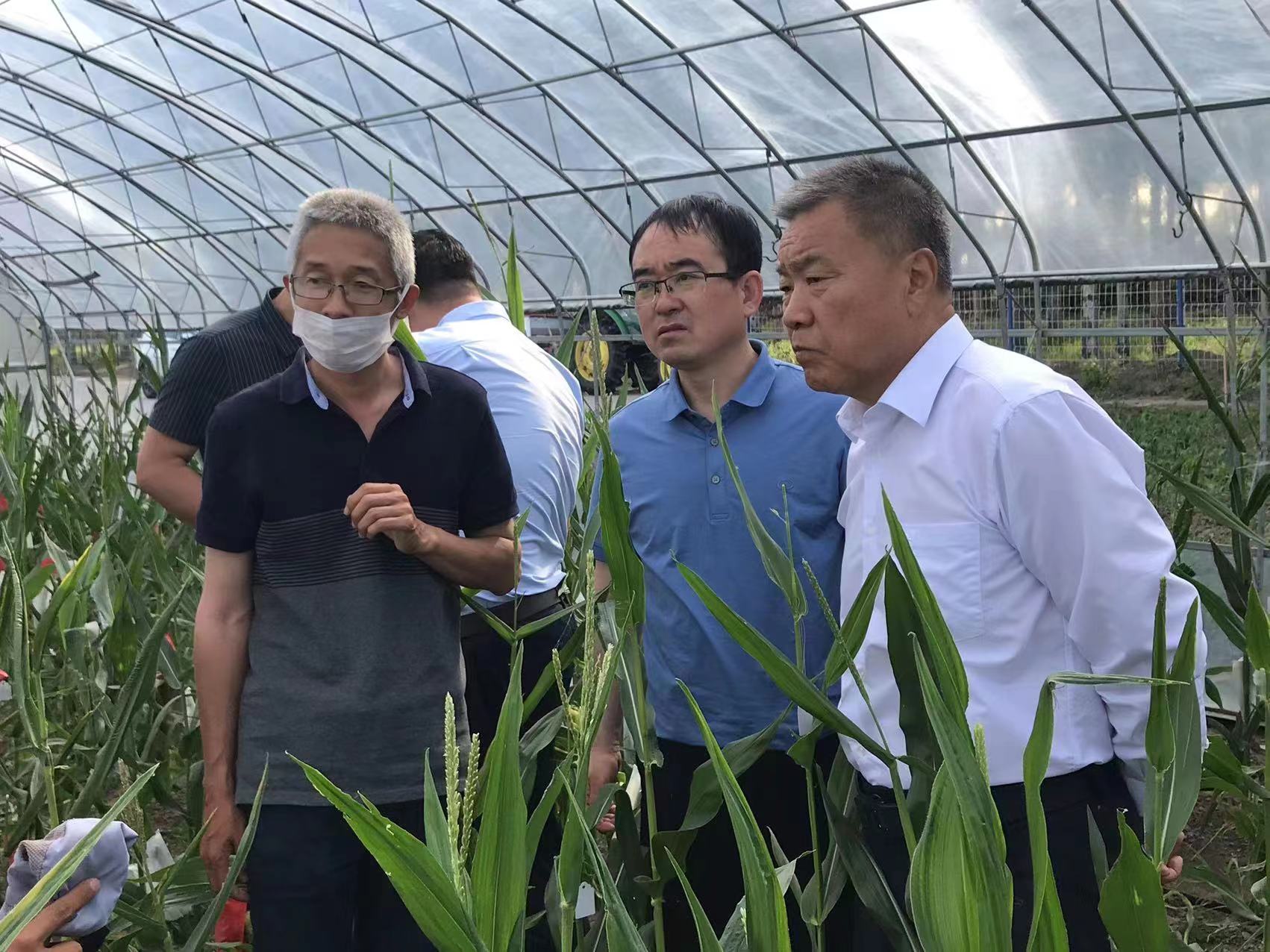 黑龍江首個生物育種戰略合作在齊齊哈爾簽約