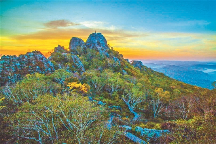 多彩雙鴨山全域旅遊百花開