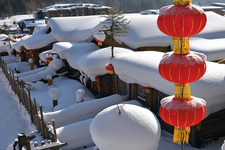 瞭望丨林海雪原的時代答卷