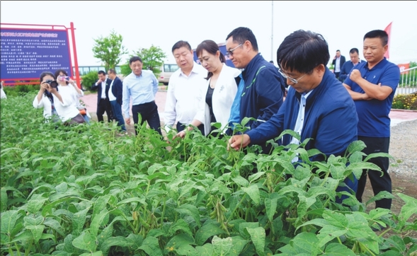 黑河農業綠色發展示範區建設獲點讚