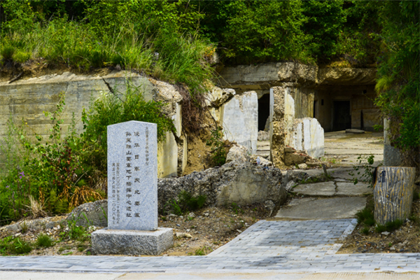 打卡中俄雙子城，樂享北國養生地，黑河的夏天美翻了！