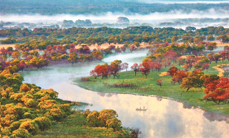 多彩雙鴨山全域旅遊百花開