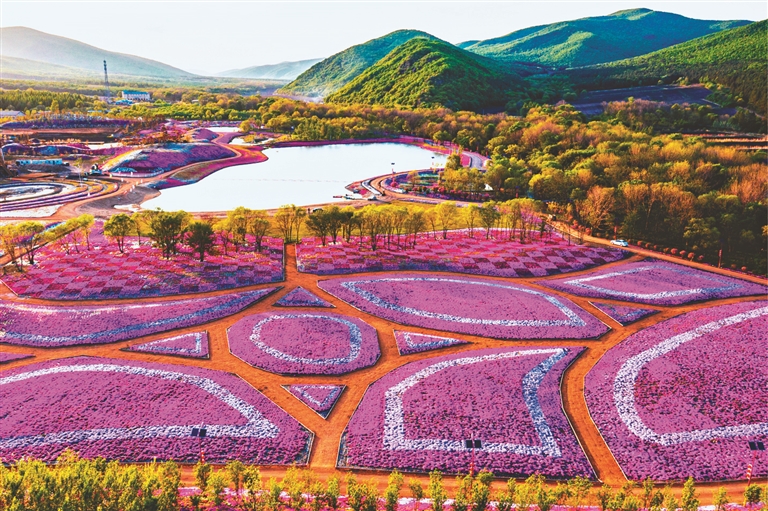 多彩雙鴨山全域旅遊百花開