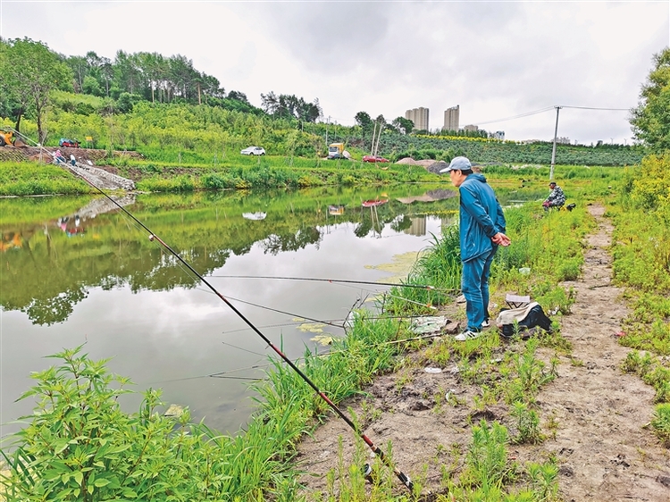 鶴崗市：棄管溝塘變身“桃花源”