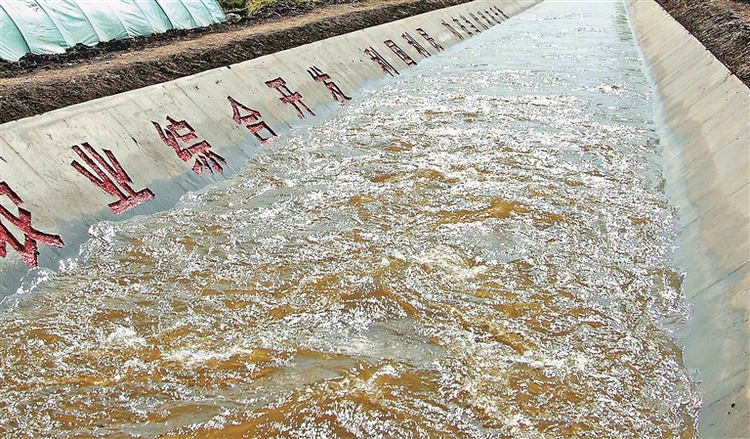 綏化市北林區：六河相伴 好水潤田