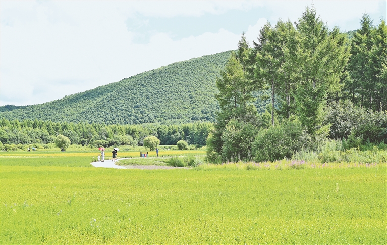 伊春：讓沙坑池塘變成一道道小微景觀