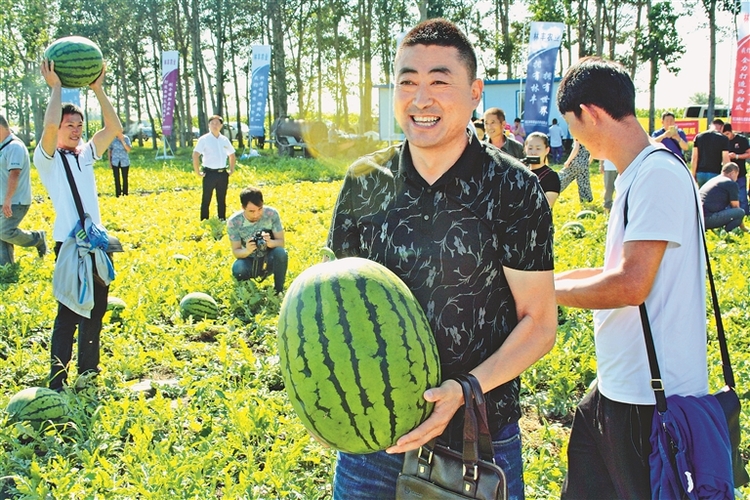 田園美景繪就林甸旅遊新畫卷