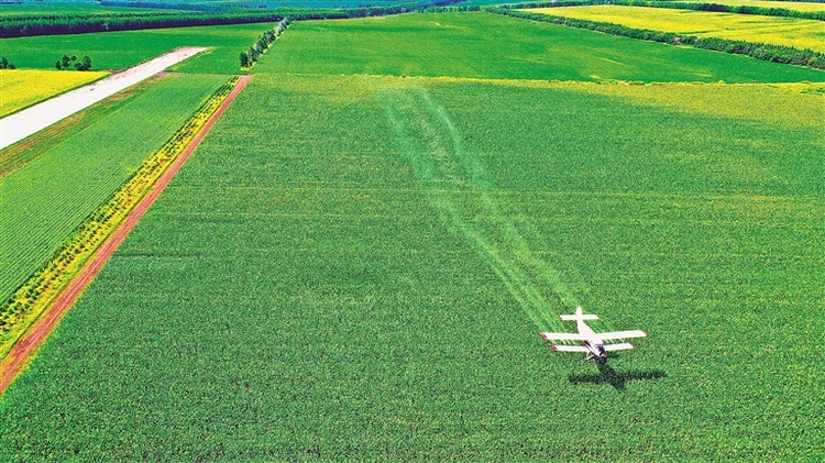 北大荒集團勇當大豆擴種主力軍預計産量達40億斤