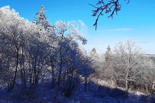 雪落鳳凰山