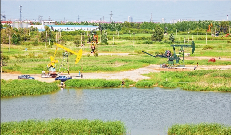 美好“暢想”變成田園畫卷