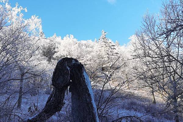 雪落鳳凰山