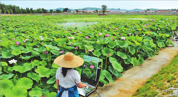 林口林區育一片花海火一方旅遊