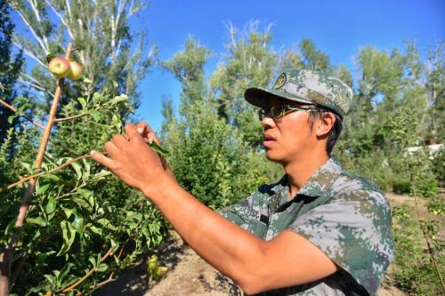 黑龍江省農業專家為援疆貢獻科技力量