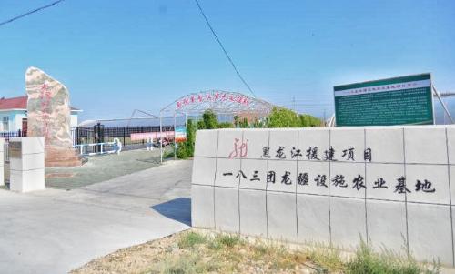 黑龍江省農業專家為援疆貢獻科技力量