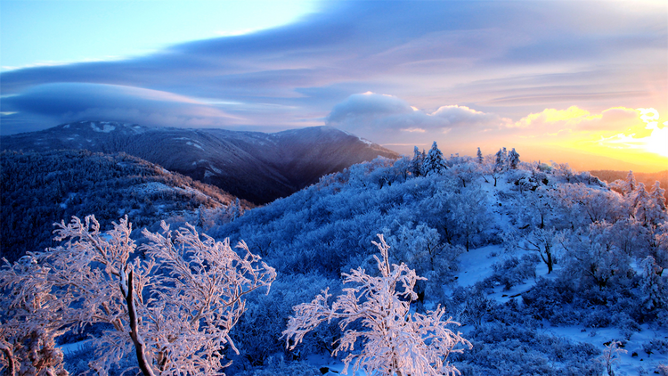 又是一年飄雪時 黑龍江傾情推介47個冰雪風光主題目的地