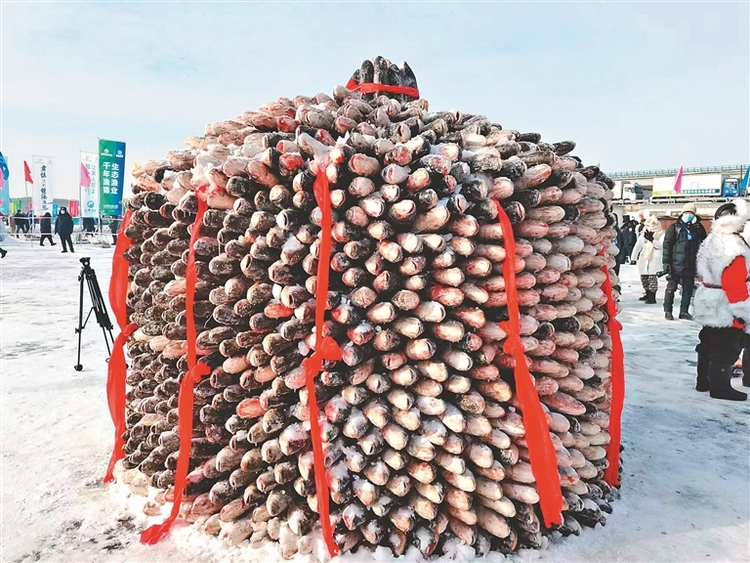 鏡泊湖冬捕出魚啦