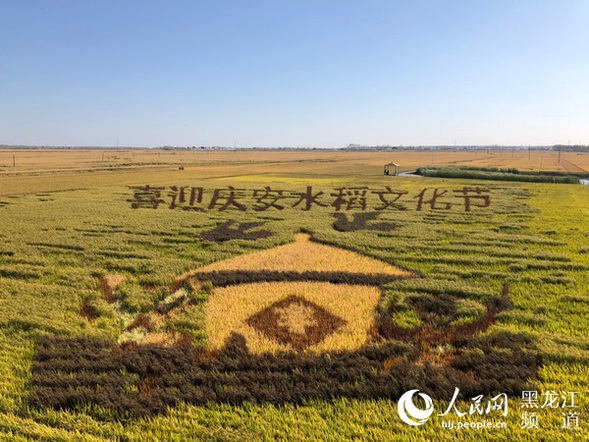 【新時代東北振興】綏化：“都城地”建設結碩果 高品質發展譜新篇