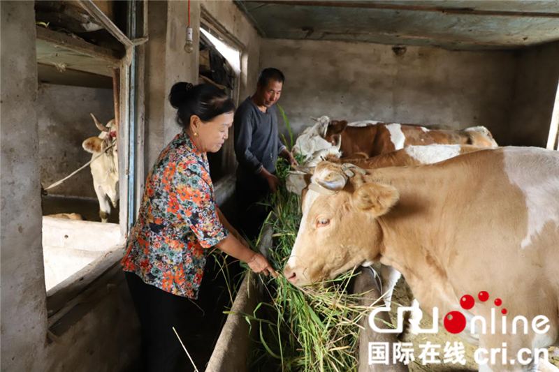 （已修改）【黑龍江】【原創】湯原農商銀行：甘為雨露潤鄉里 金融服務暖民心