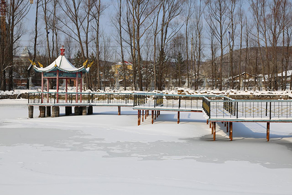 千樹萬樹梨花開 中國最冷小鎮大興安嶺呼中四月降暴雪